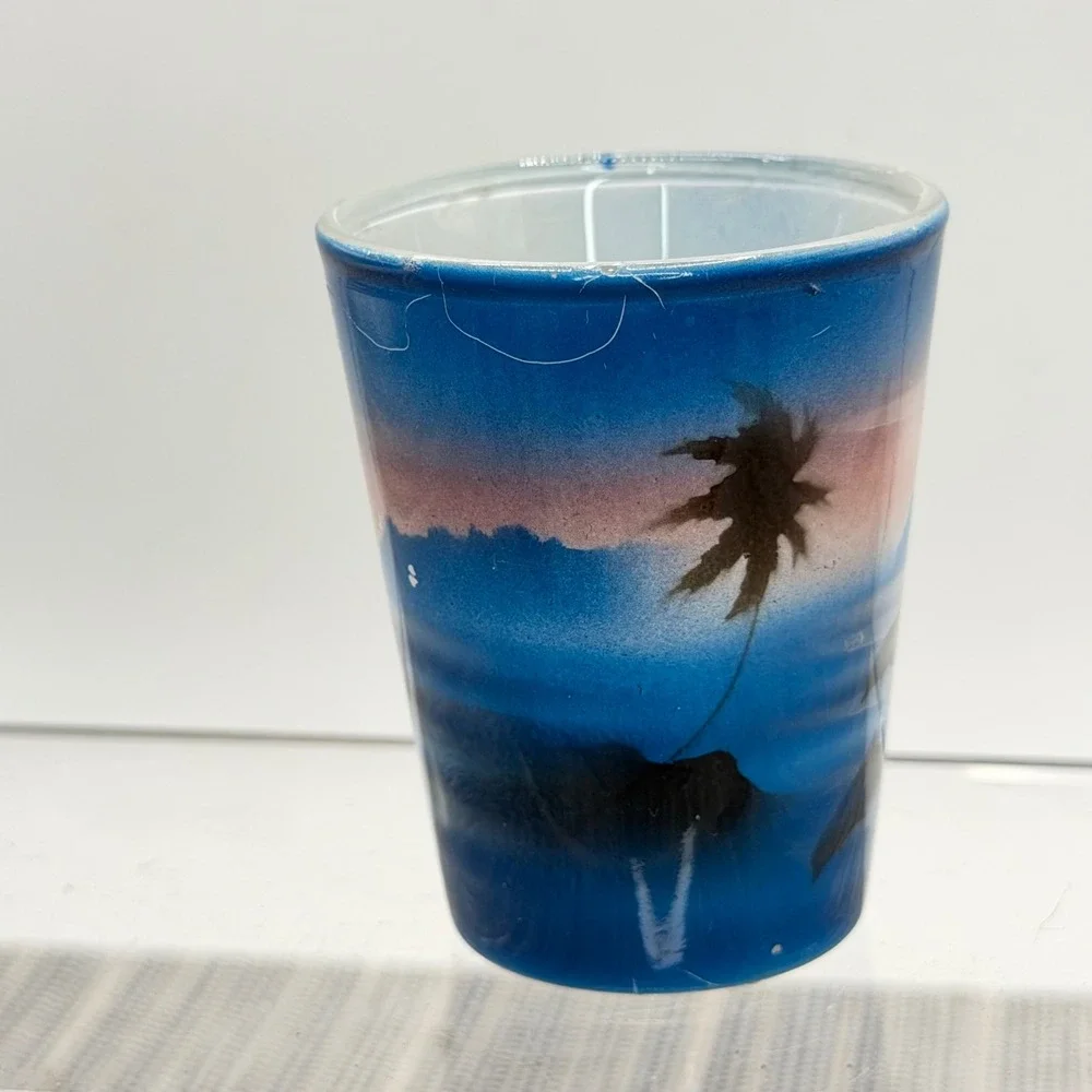 St. Thomas USVI Souvenir Shot Glass Dolphin Sunset Tropical‎ Frosted Barware